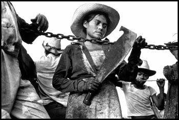 MEXICO. State of Morelos. 1984. A sugar cane cutter holds her machete.